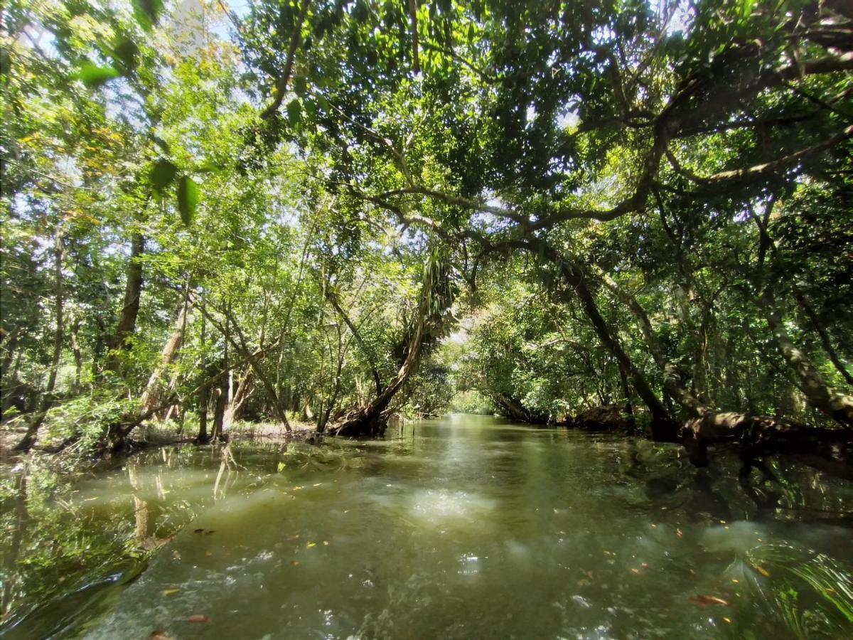 Hotel Tortugal Boutique River 4*